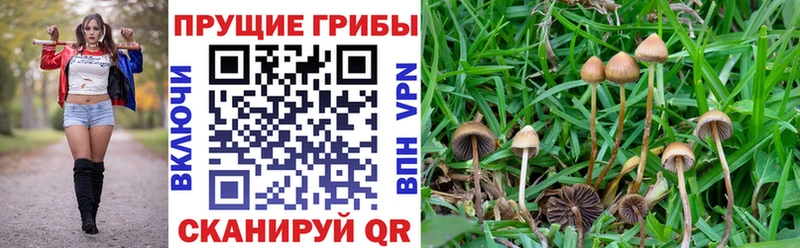 это состав  Тында  Галлюциногенные грибы прущие грибы  блэк спрут ССЫЛКА 